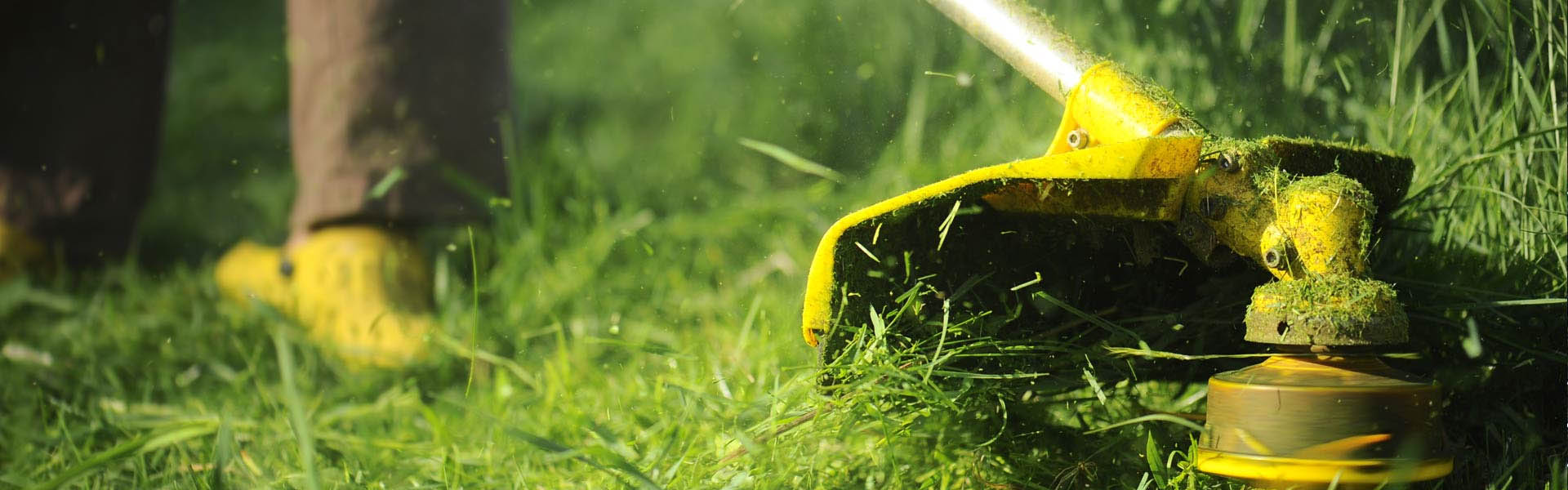 Manutenzioni Aree Verdi